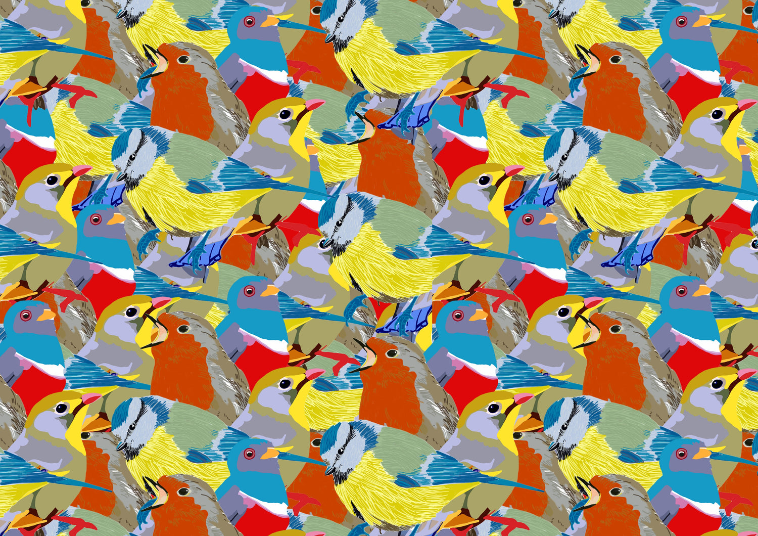 Beautiful Birds